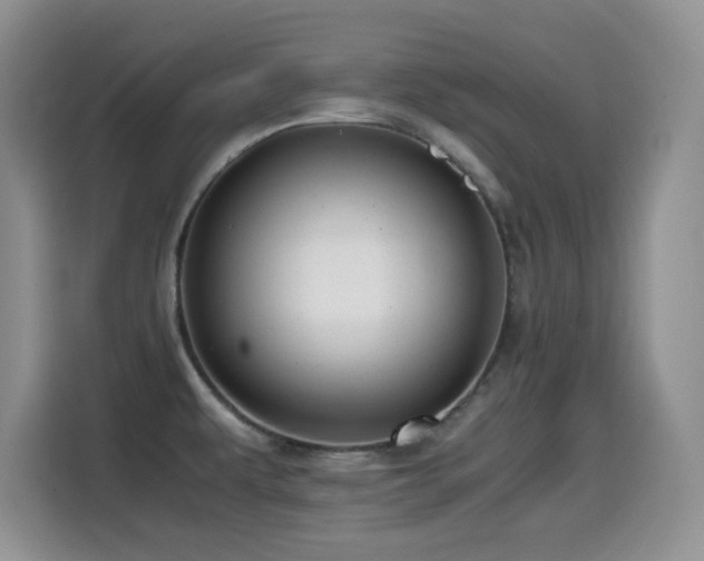 X0000114601479200910191608