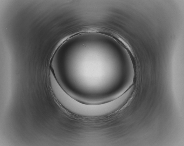 X0000114601481200910191608