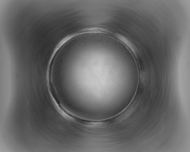 X0000114601482200910191608