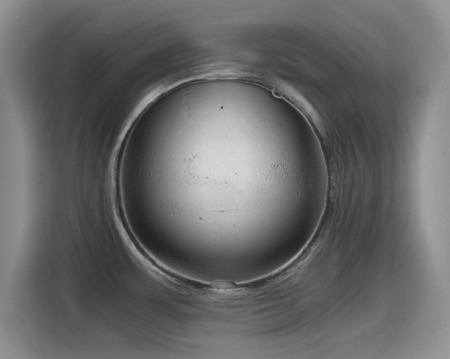 X0000114601483200910191608