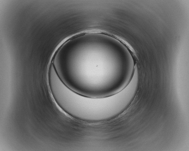 X0000114601484200910191608