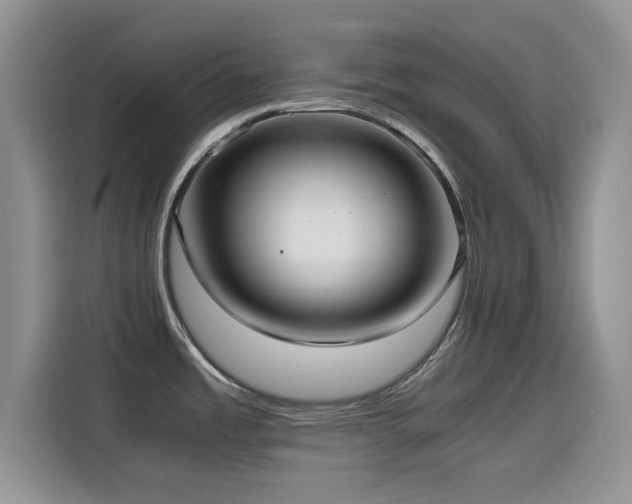 X0000114601485200910191608