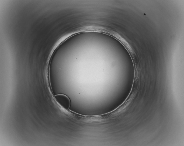 X0000114601486200910191608