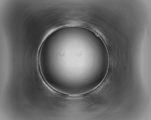 X0000114601487200910191608