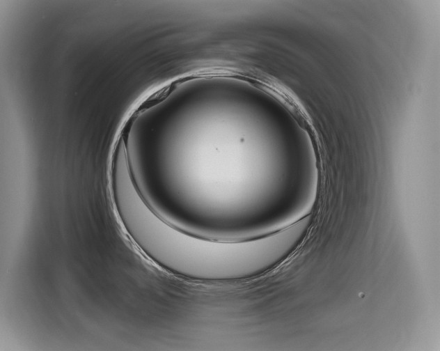 X0000114601488200910191608