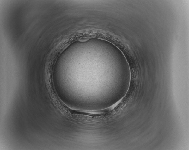 X0000114601489200910191607