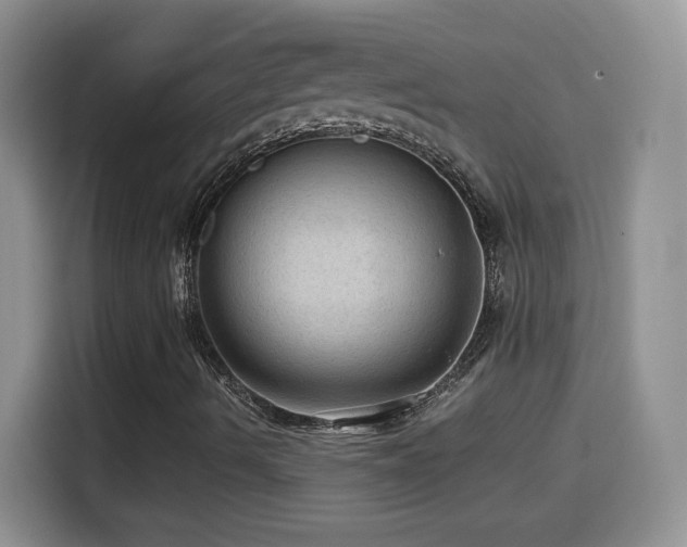 X0000114601490200910191607