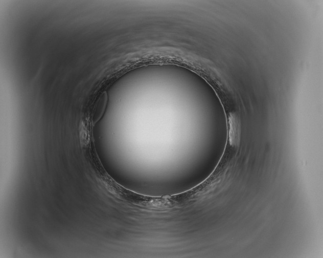 X0000114601491200910191607