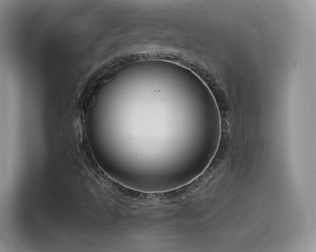 X0000114601493200910191607