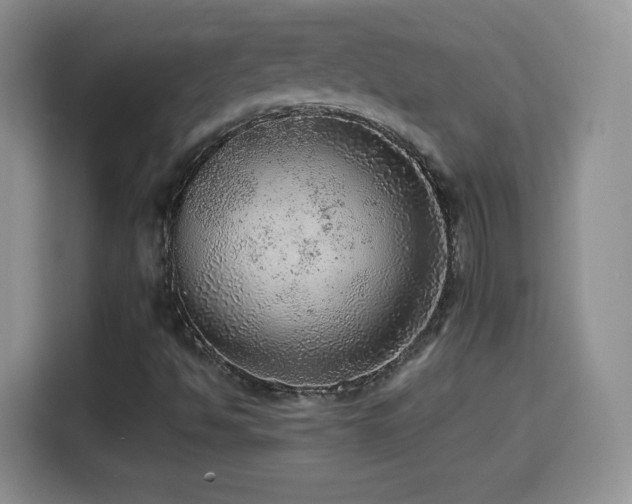 X0000114601494200910191607