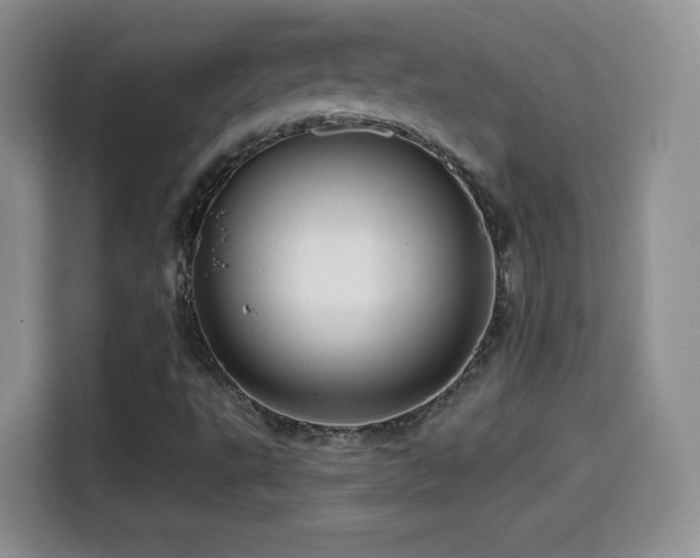 X0000114601495200910191607