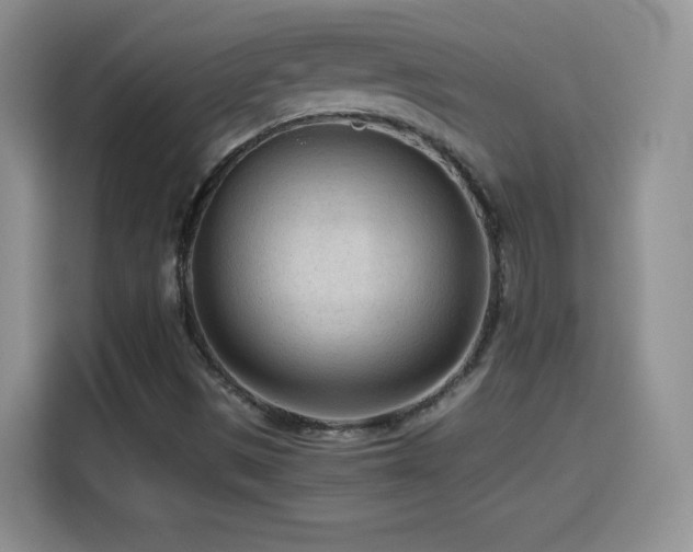 X0000114601497200910191607