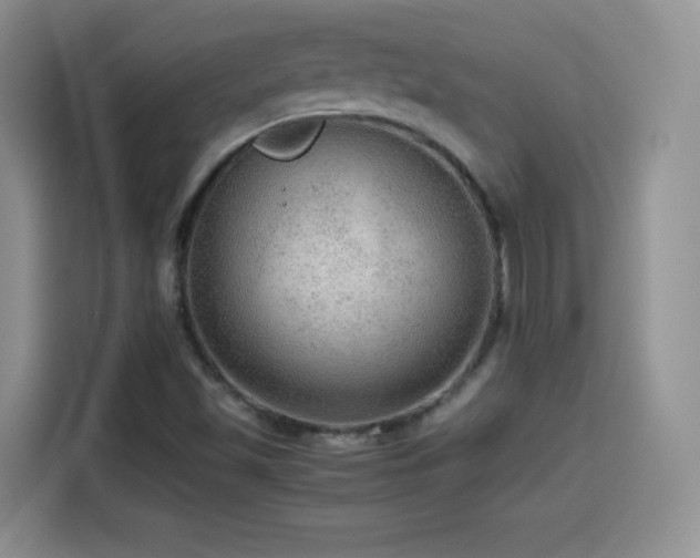 X0000114601501200910191607