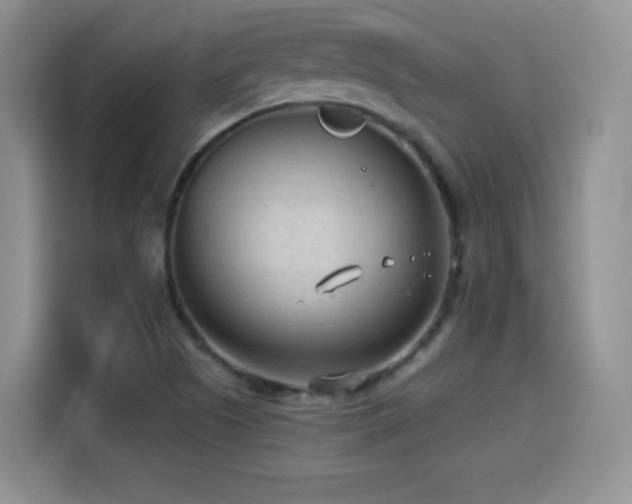 X0000114601505200910191607