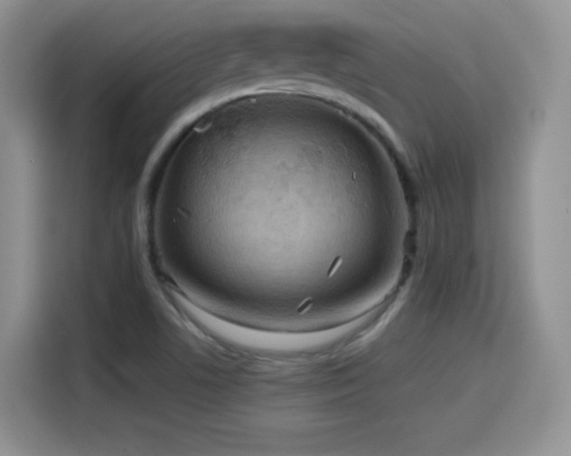 X0000114601506200910191607