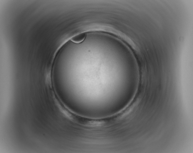 X0000114601513200910191607