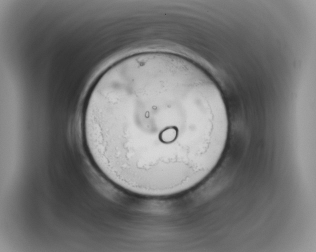 X0000114601514200910191607