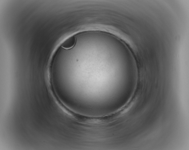 X0000114601517200910191607