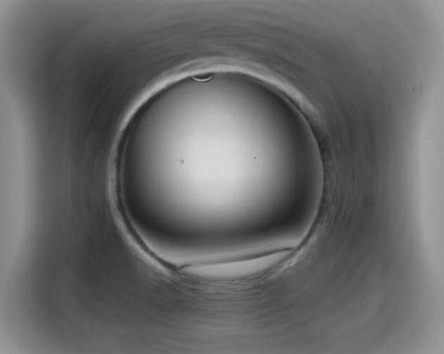 X0000114601518200910191607