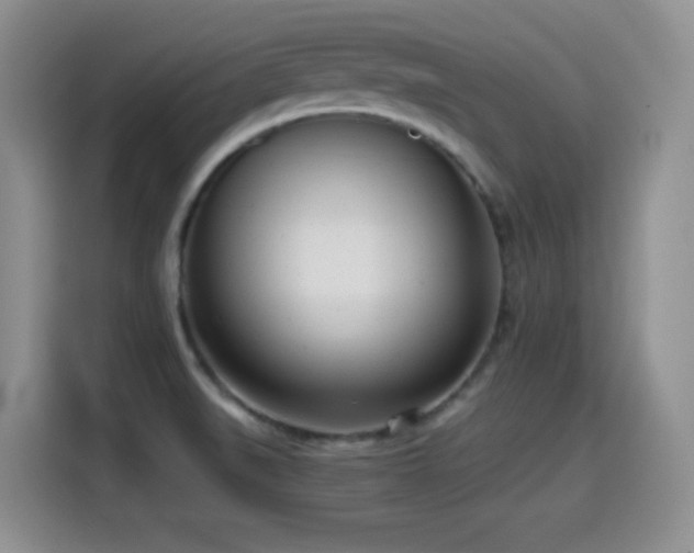 X0000114601519200910191607