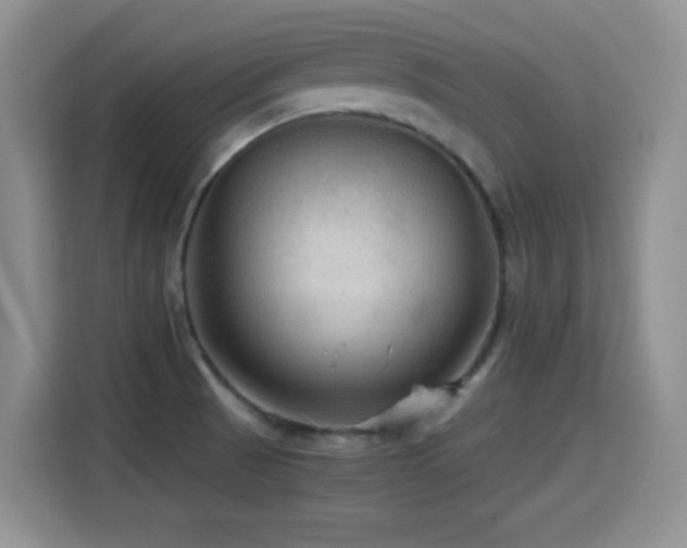 X0000114601521200910191607