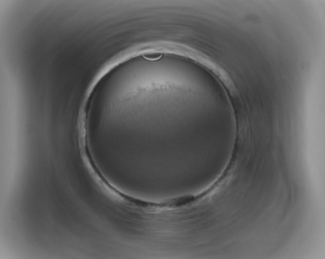 X0000114601522200910191607