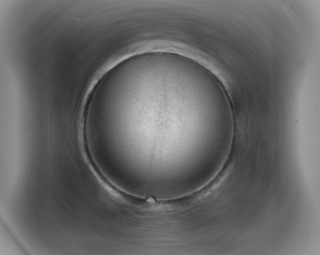 X0000114601525200910191607