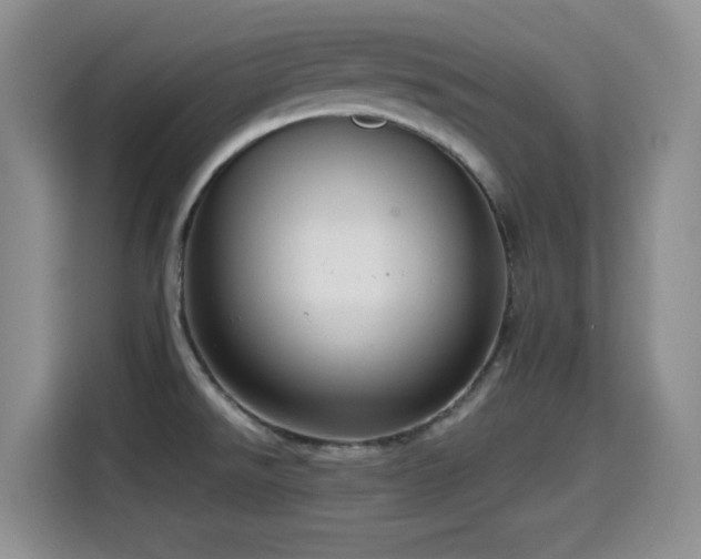 X0000114601526200910191607