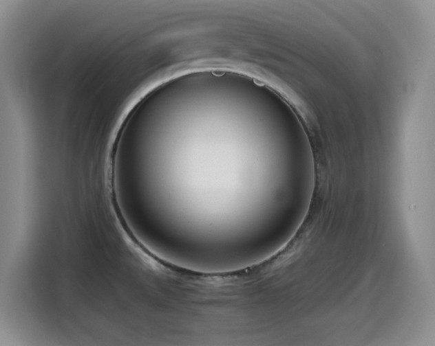 X0000114601527200910191607