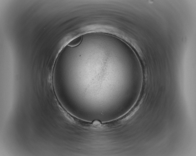 X0000114601529200910191608