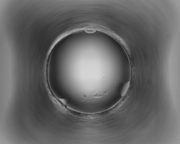 X0000114601530200910191608