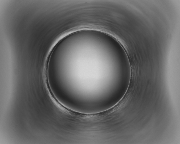 X0000114601531200910191608