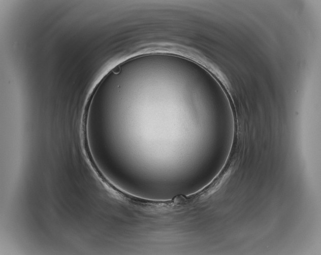 X0000114601533200910191608