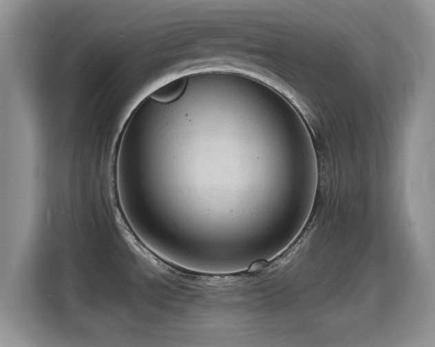 X0000114601534200910191608