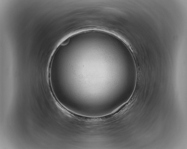 X0000114601535200910191608