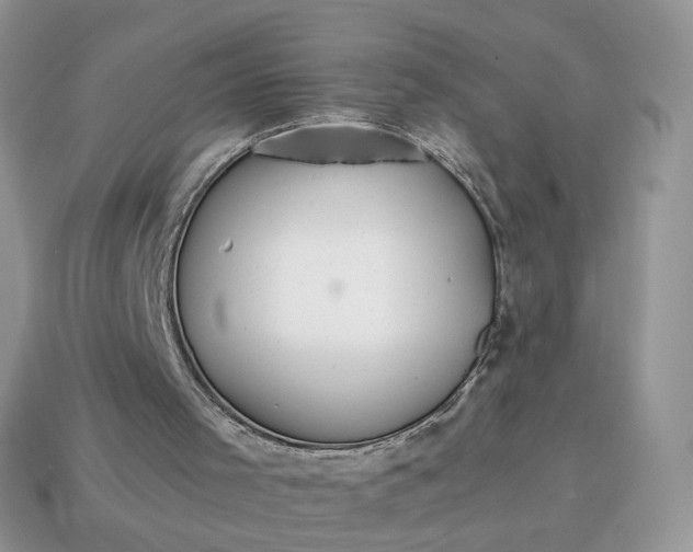 X0000114600001200911091327