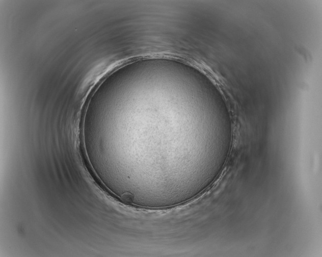 X0000114600002200911091327