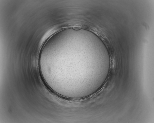 X0000114600004200911091327