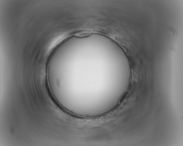 X0000114600005200911091327