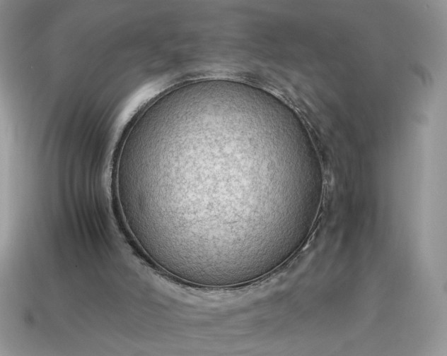 X0000114600006200911091327