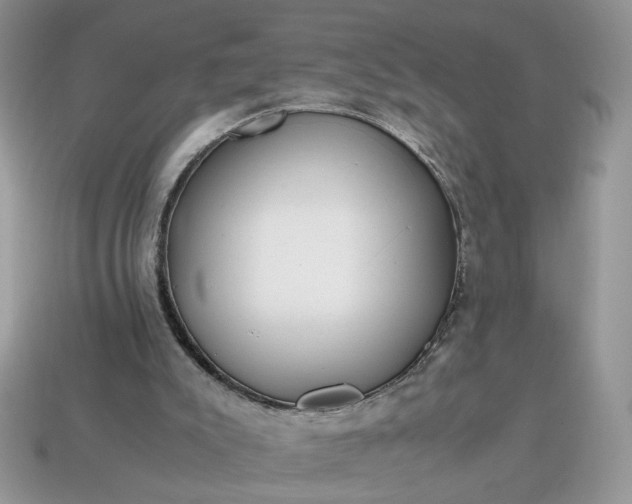 X0000114600007200911091327