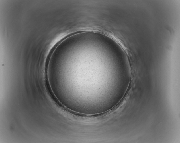 X0000114600008200911091327