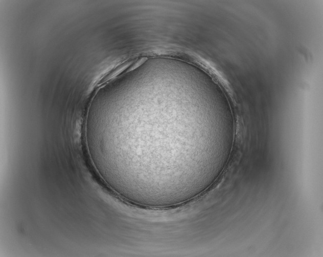 X0000114600010200911091327