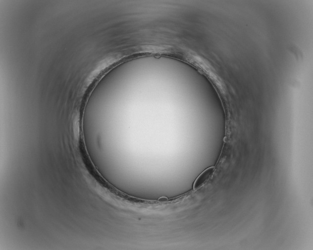 X0000114600011200911091327