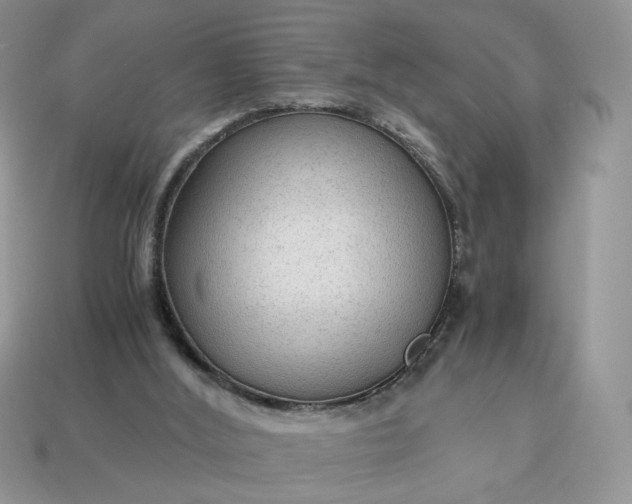 X0000114600012200911091327