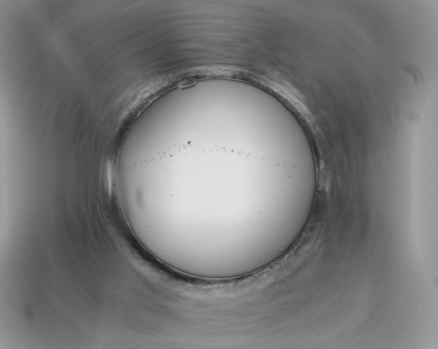 X0000114600013200911091327