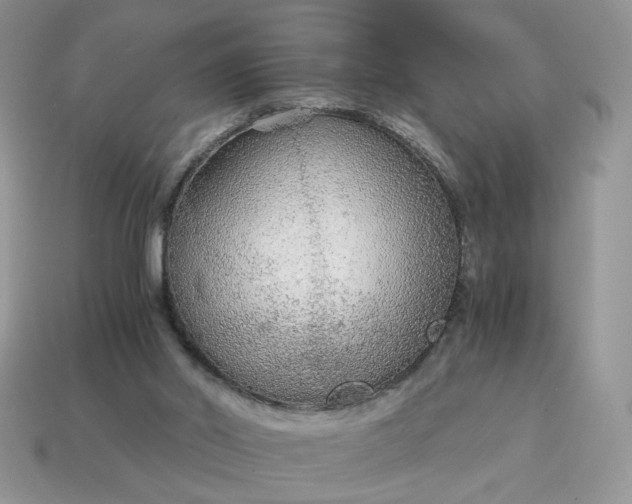 X0000114600014200911091327