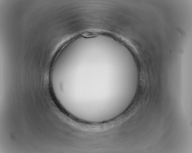 X0000114600015200911091327