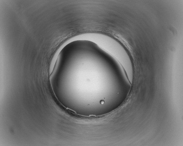 X0000114600017200911091327