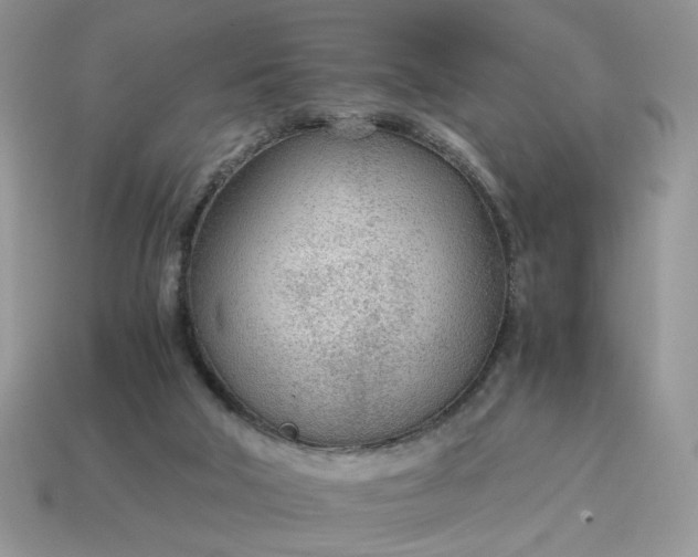 X0000114600018200911091327